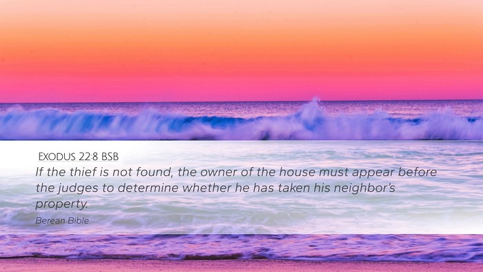 Exodus 22:8 BSB Bible Verse Image