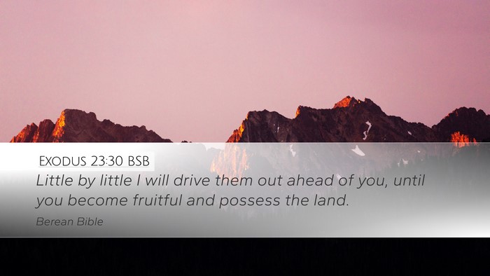 Exodus 23:30 BSB Desktop Wallpaper - Little by little I will drive them out ahead of - Desktop Bible Verse Wallpaper