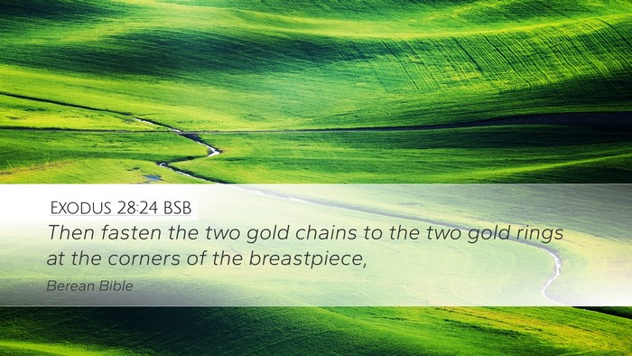 Exodus 28:24 BSB Bible Verse Image