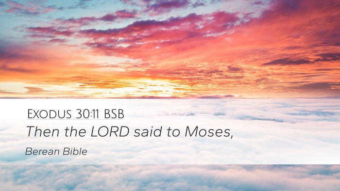 Exodus 30:11 BSB Bible Verse Image