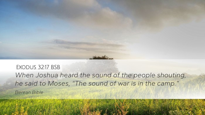 Exodus 32:17 BSB Bible Verse Image