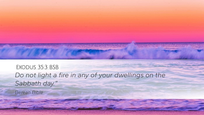 Exodus 35:3 BSB Bible Verse Image