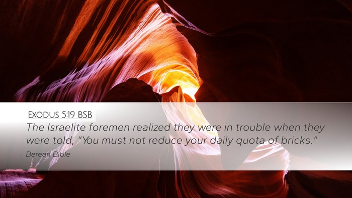 Exodus 5:19 BSB Bible Verse Image