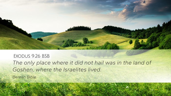 Exodus 9:26 BSB Bible Verse Image
