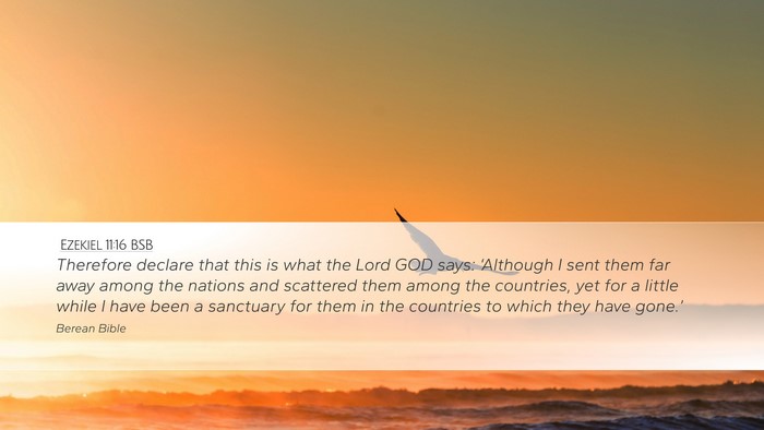 Ezekiel 11:16 BSB Bible Verse Image