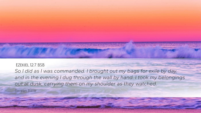 Ezekiel 12:7 BSB Desktop Wallpaper - So I did as I was commanded. I brought out my - Desktop Bible Verse Wallpaper