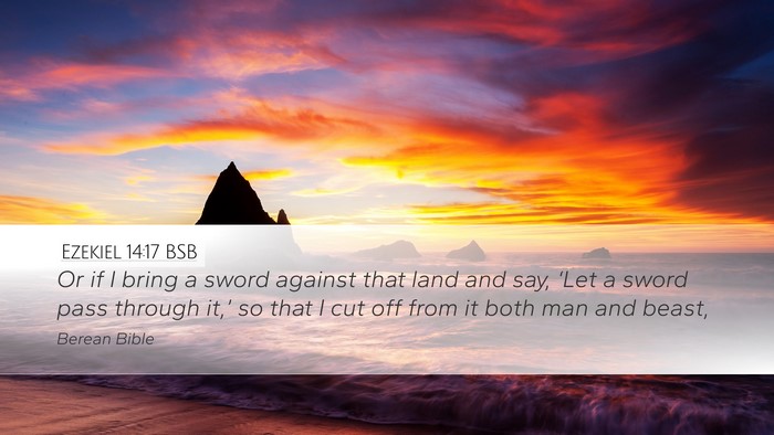 Ezekiel 14:17 BSB Bible Verse Image
