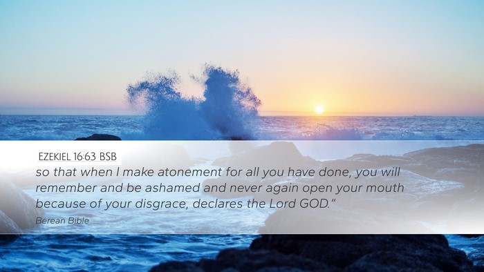 Ezekiel 16:63 BSB Bible Verse Image