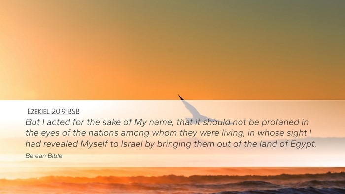 Ezekiel 20:9 BSB Bible Verse Image