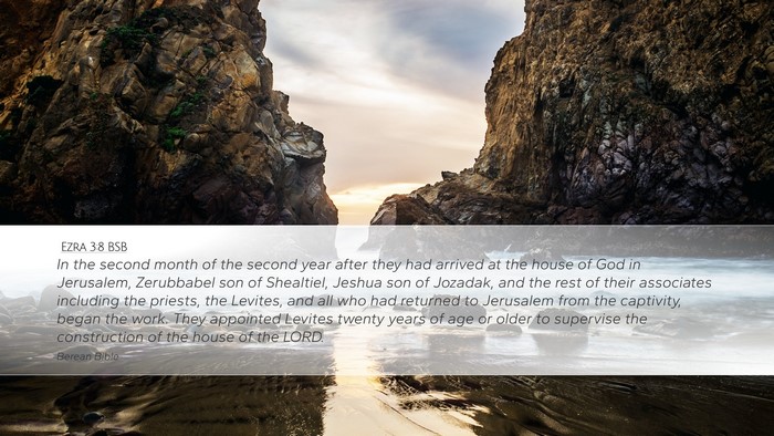 Ezra 3:8 BSB Bible Verse Image