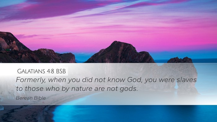 Galatians 4:8 BSB Bible Verse Image