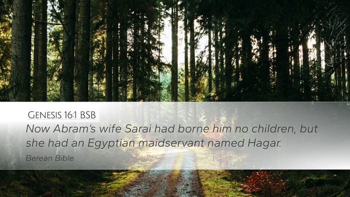 Genesis 16:1 BSB Desktop Wallpaper - Now Abram’s wife Sarai had borne him no - Desktop Bible Verse Wallpaper