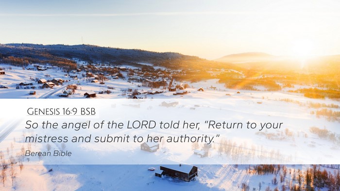 Genesis 16:9 BSB Bible Verse Image