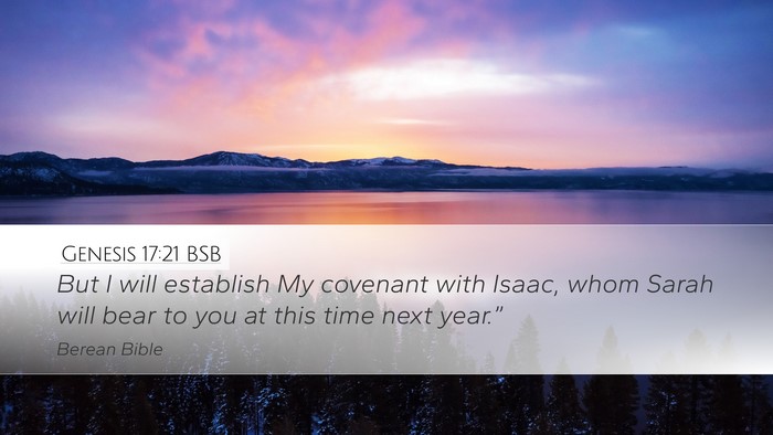 Genesis 17:21 BSB Bible Verse Image