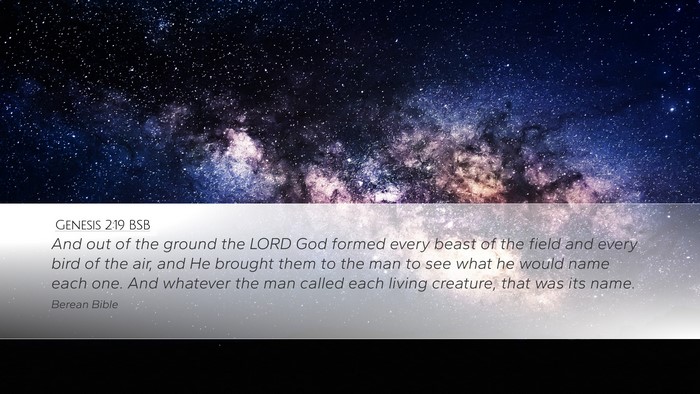 Genesis 2:19 BSB Bible Verse Image