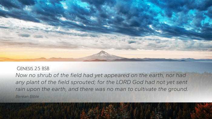 Genesis 2:5 BSB Bible Verse Image