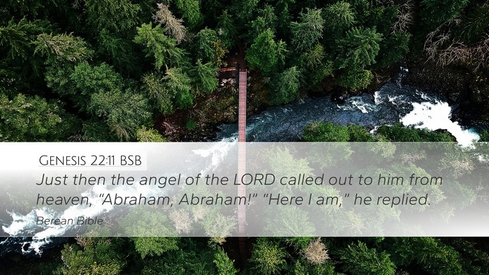 Genesis 22:11 BSB Bible Verse Image