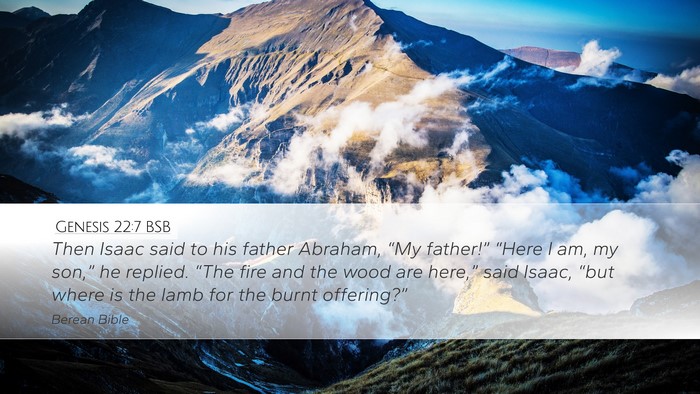 Genesis 22:7 BSB Bible Verse Image