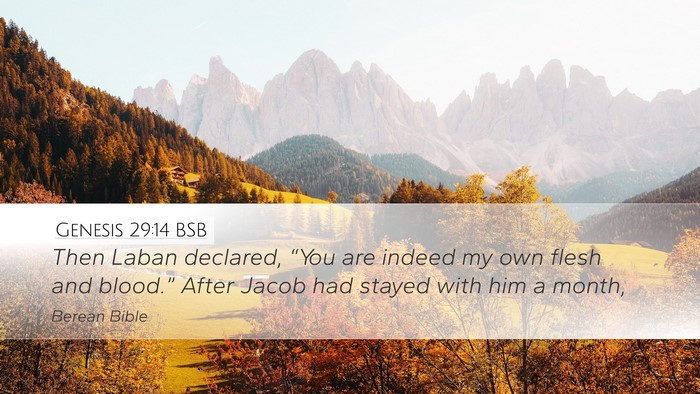 Genesis 29:14 BSB Bible Verse Image