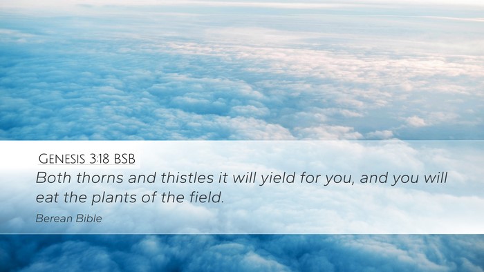 Genesis 3:18 BSB Bible Verse Image