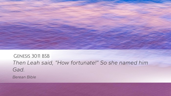 Genesis 30:11 BSB Desktop Wallpaper - Then Leah said, “How fortunate!” So she named - Desktop Bible Verse Wallpaper