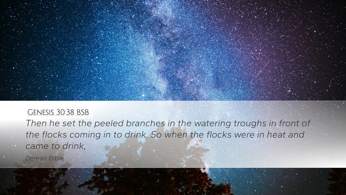 Genesis 30:38 BSB Desktop Wallpaper - Then he set the peeled branches in the watering - Desktop Bible Verse Wallpaper
