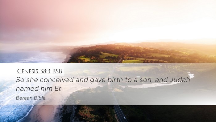 Genesis 38:3 BSB Desktop Wallpaper - So she conceived and gave birth to a son, and - Desktop Bible Verse Wallpaper