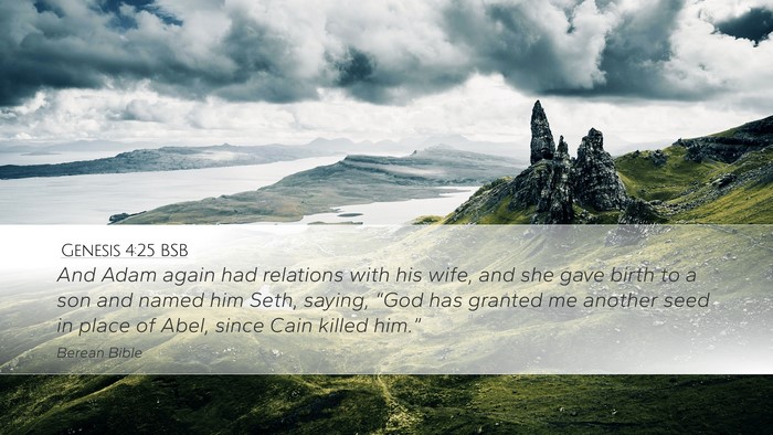 Genesis 4:25 BSB Bible Verse Image