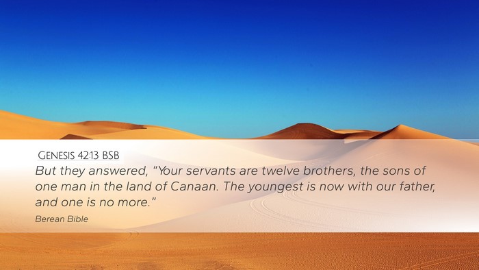 Genesis 42:13 BSB Bible Verse Image