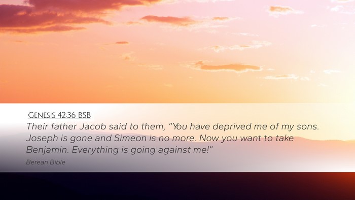 Genesis 42:36 BSB Bible Verse Image