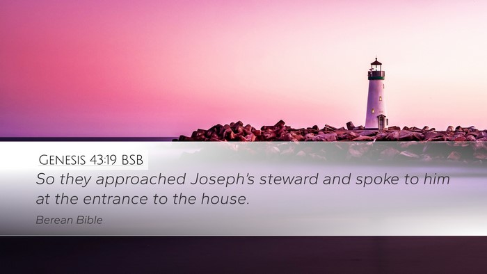 Genesis 43:19 BSB Bible Verse Image