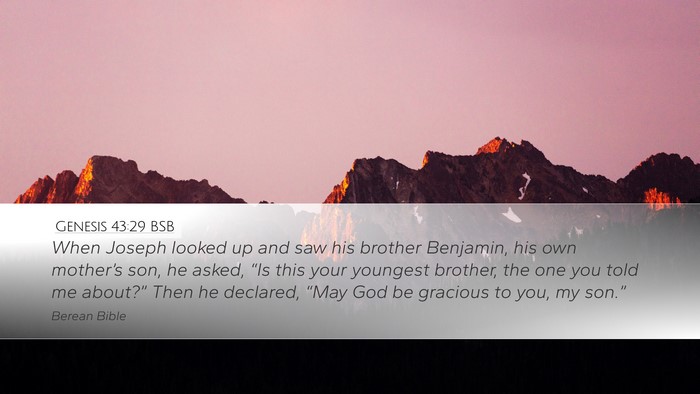 Genesis 43:29 BSB Desktop Wallpaper - When Joseph looked up and saw his brother - Desktop Bible Verse Wallpaper