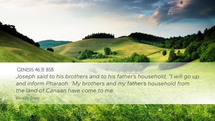 Genesis 46:31 BSB Bible Verse Image