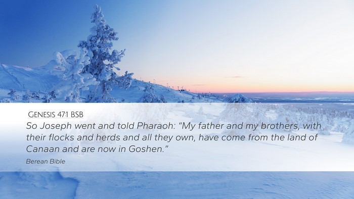 Genesis 47:1 BSB Desktop Wallpaper - So Joseph went and told Pharaoh: “My father and - Desktop Bible Verse Wallpaper