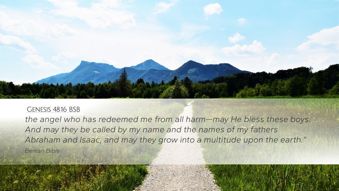 Genesis 48:16 BSB Bible Verse Image