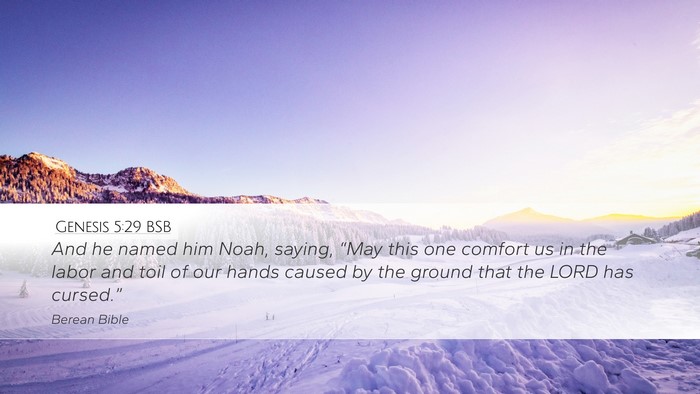 Genesis 5:29 BSB Bible Verse Image