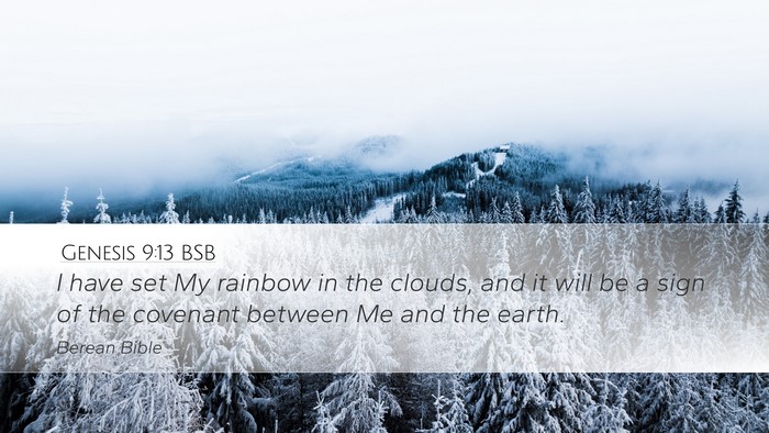 Genesis 9:13 BSB Bible Verse Image