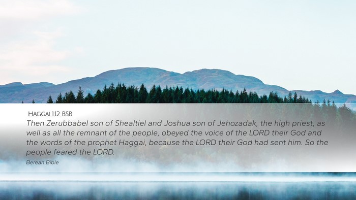 Haggai 1:12 BSB Bible Verse Image