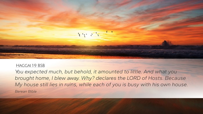 Haggai 1:9 BSB Bible Verse Image