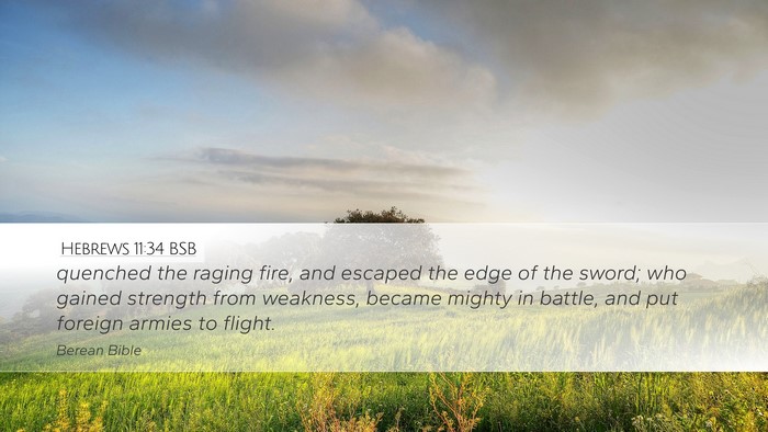 Hebrews 11:34 BSB Bible Verse Image