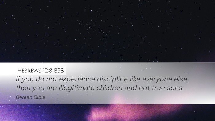 Hebrews 12:8 BSB Bible Verse Image