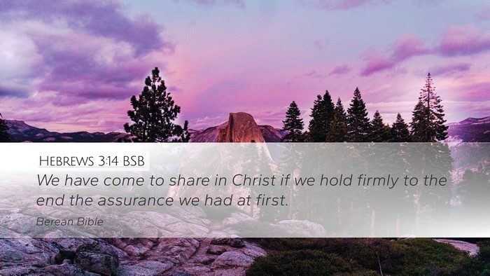 Hebrews 3:14 BSB Bible Verse Image