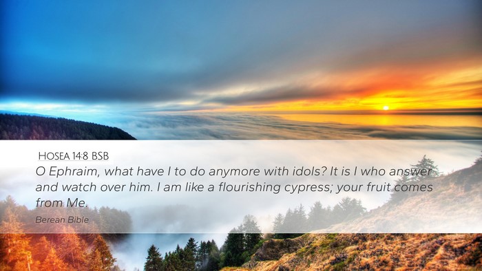 Hosea 14:8 BSB Bible Verse Image