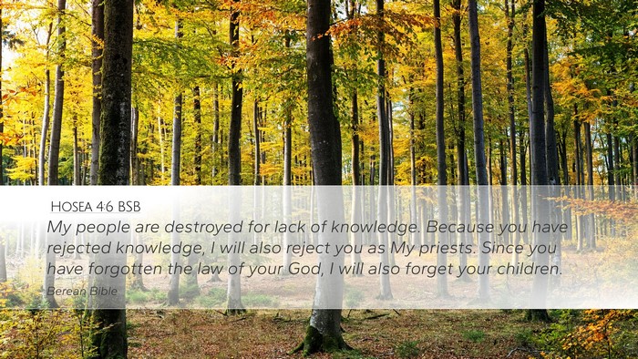 Hosea 4:6 BSB Bible Verse Image