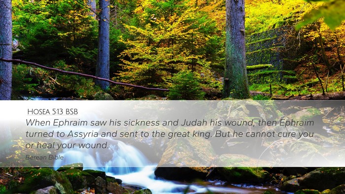 Hosea 5:13 BSB Bible Verse Image