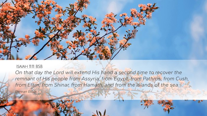 Isaiah 11:11 BSB Bible Verse Image