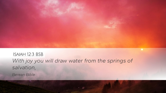 Isaiah 12:3 BSB Bible Verse Image
