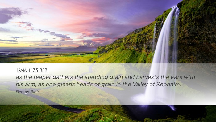 Isaiah 17:5 BSB Bible Verse Image