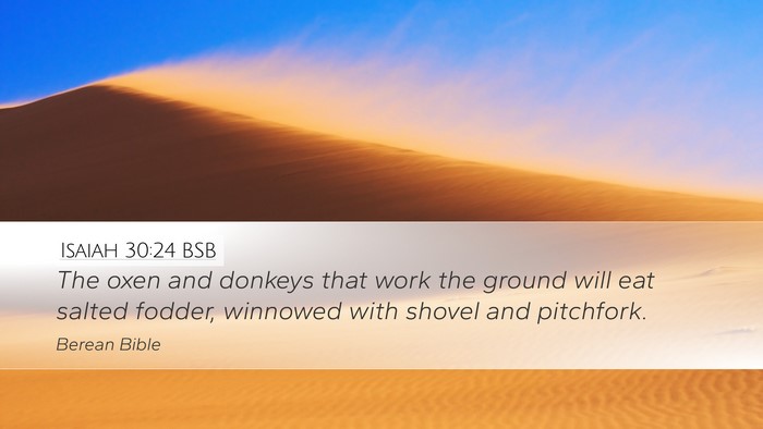 Isaiah 30:24 BSB Desktop Wallpaper - The oxen and donkeys that work the ground will - Desktop Bible Verse Wallpaper