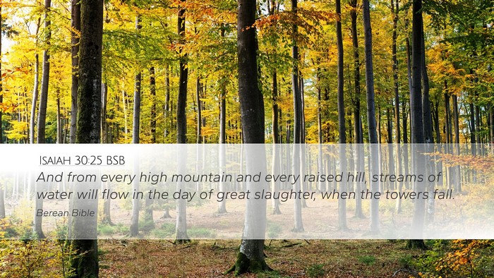 Isaiah 30:25 BSB Bible Verse Image